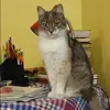 Отзыв от Мария Демидова
